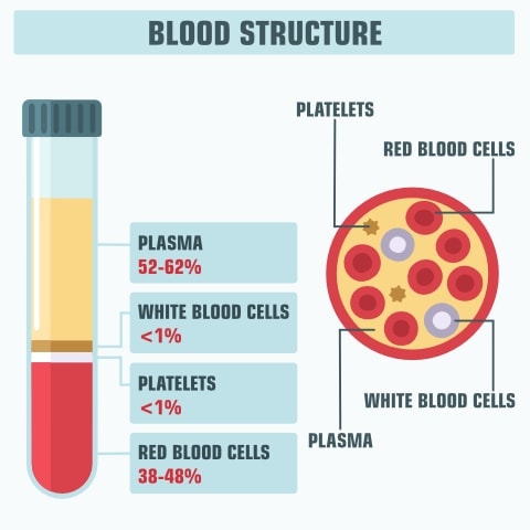 Blood structure PRP facials Thoclor Labs